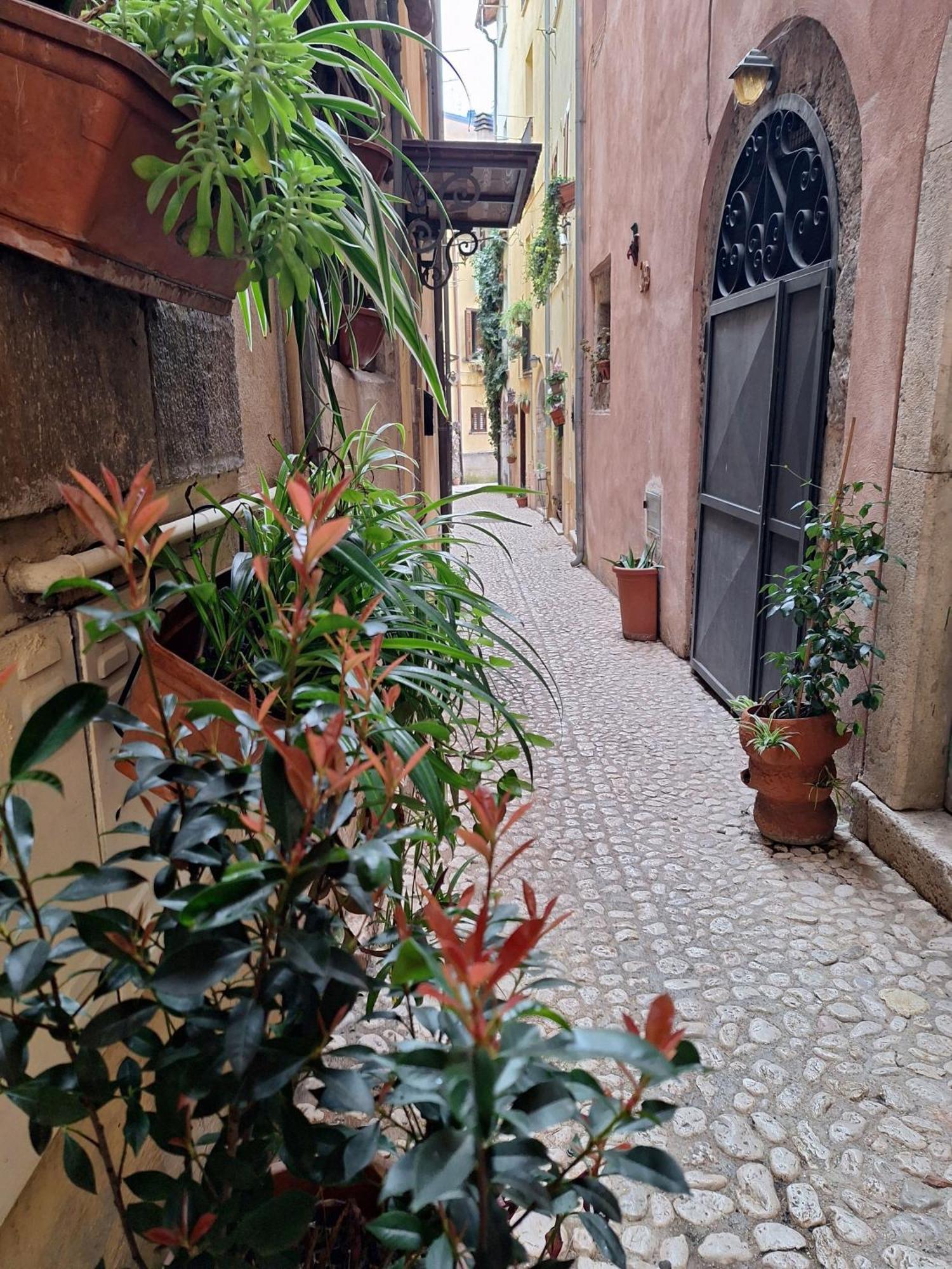 Apartment Casa Napoleone